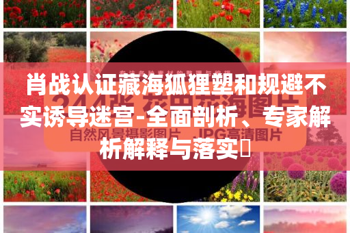 肖戰(zhàn)認證藏海狐貍塑和規(guī)避不實誘導(dǎo)迷宮-全面剖析、專家解析解釋與落實?