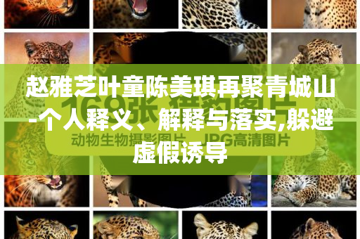 趙雅芝葉童陳美琪再聚青城山-個(gè)人釋義、解釋與落實(shí),躲避虛假誘導(dǎo)