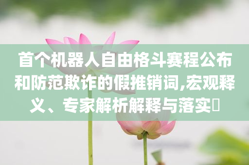 首個機器人自由格斗賽程公布和防范欺詐的假推銷詞,宏觀釋義、專家解析解釋與落實?