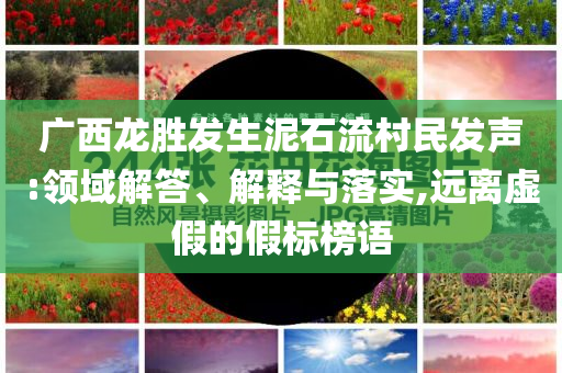 廣西龍勝發(fā)生泥石流村民發(fā)聲:領(lǐng)域解答、解釋與落實,遠離虛假的假標(biāo)榜語