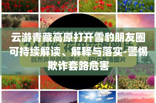 云游青藏高原打開雪豹朋友圈可持續(xù)解讀、解釋與落實-警惕欺詐套路危害