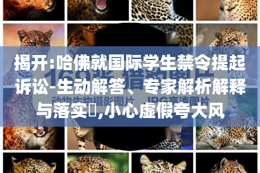 揭開:哈佛就國際學(xué)生禁令提起訴訟-生動解答、專家解析解釋與落實(shí)?,小心虛假夸大風(fēng)
