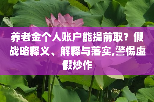 養(yǎng)老金個人賬戶能提前??？假戰(zhàn)略釋義、解釋與落實(shí),警惕虛假炒作