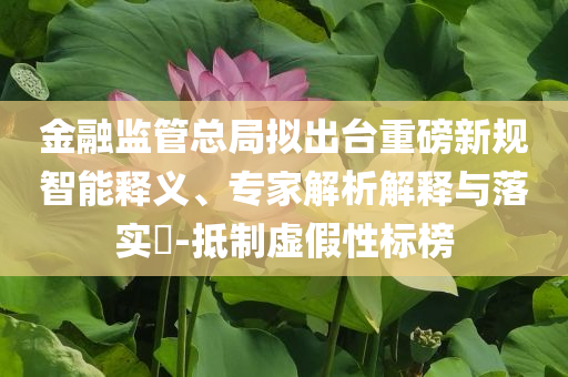 金融監(jiān)管總局?jǐn)M出臺重磅新規(guī)智能釋義、專家解析解釋與落實?-抵制虛假性標(biāo)榜