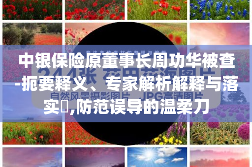 中銀保險原董事長周功華被查-扼要釋義、專家解析解釋與落實?,防范誤導的溫柔刀