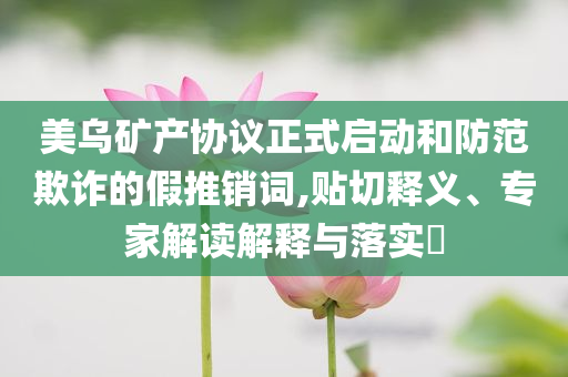 美烏礦產(chǎn)協(xié)議正式啟動(dòng)和防范欺詐的假推銷(xiāo)詞,貼切釋義、專(zhuān)家解讀解釋與落實(shí)?