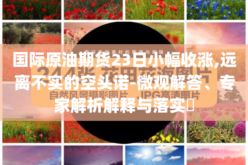 國(guó)際原油期貨23日小幅收漲,遠(yuǎn)離不實(shí)的空頭諾-微觀解答、專(zhuān)家解析解釋與落實(shí)?