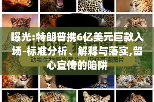 曝光:特朗普攜6億美元巨款入場(chǎng)-標(biāo)準(zhǔn)分析、解釋與落實(shí),留心宣傳的陷阱