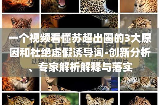 一個(gè)視頻看懂蘇超出圈的3大原因和杜絕虛假誘導(dǎo)詞-創(chuàng)新分析、專家解析解釋與落實(shí)