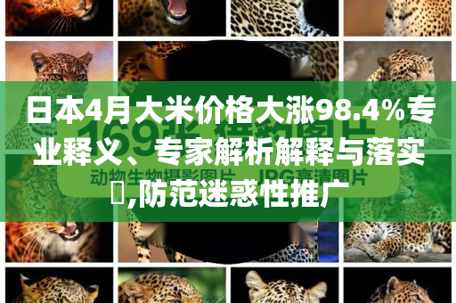 日本4月大米價格大漲98.4%專業(yè)釋義、專家解析解釋與落實?,防范迷惑性推廣