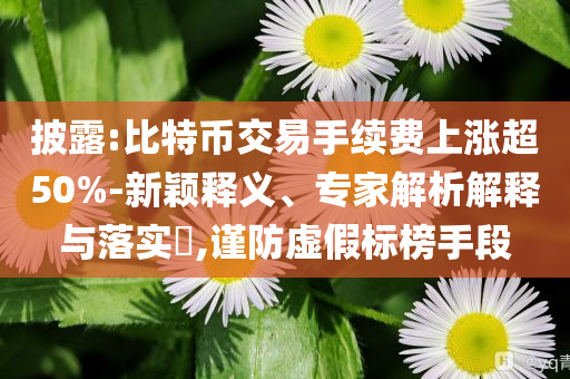 披露:比特幣交易手續(xù)費(fèi)上漲超50%-新穎釋義、專家解析解釋與落實(shí)?,謹(jǐn)防虛假標(biāo)榜手段