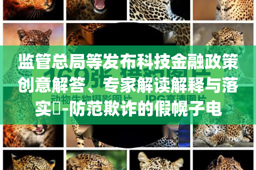 監(jiān)管總局等發(fā)布科技金融政策創(chuàng)意解答、專家解讀解釋與落實?-防范欺詐的假幌子電