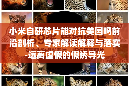 小米自研芯片能對抗美國嗎前沿剖析、專家解讀解釋與落實-遠離虛假的假誘導(dǎo)光