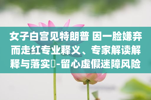 女子白宮見特朗普 因一臉嫌棄而走紅專業(yè)釋義、專家解讀解釋與落實(shí)?-留心虛假迷障風(fēng)險(xiǎn)