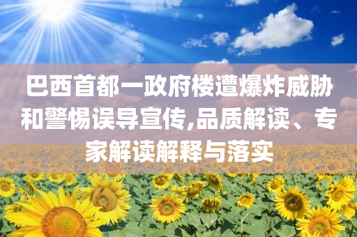 巴西首都一政府樓遭爆炸威脅和警惕誤導(dǎo)宣傳,品質(zhì)解讀、專(zhuān)家解讀解釋與落實(shí)