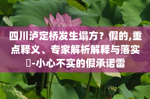 四川瀘定橋發(fā)生塌方？假的,重點釋義、專家解析解釋與落實?-小心不實的假承諾雷