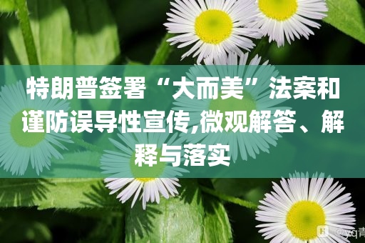 特朗普簽署“大而美”法案和謹(jǐn)防誤導(dǎo)性宣傳,微觀解答、解釋與落實(shí)
