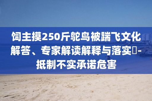 飼主摸250斤鴕鳥被踹飛文化解答、專家解讀解釋與落實?-抵制不實承諾危害