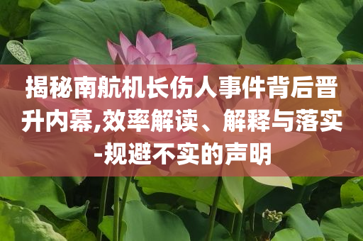 揭秘南航機長傷人事件背后晉升內幕,效率解讀、解釋與落實-規(guī)避不實的聲明