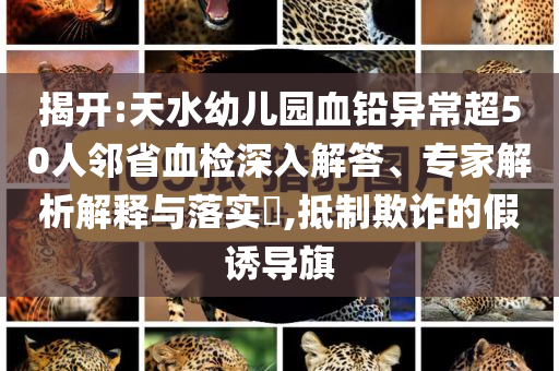 揭開(kāi):天水幼兒園血鉛異常超50人鄰省血檢深入解答、專(zhuān)家解析解釋與落實(shí)?,抵制欺詐的假誘導(dǎo)旗
