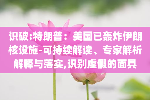 識破:特朗普：美國已轟炸伊朗核設(shè)施-可持續(xù)解讀、專家解析解釋與落實,識別虛假的面具