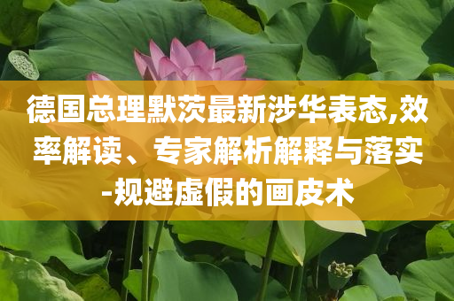 德國總理默茨最新涉華表態(tài),效率解讀、專家解析解釋與落實(shí)-規(guī)避虛假的畫皮術(shù)