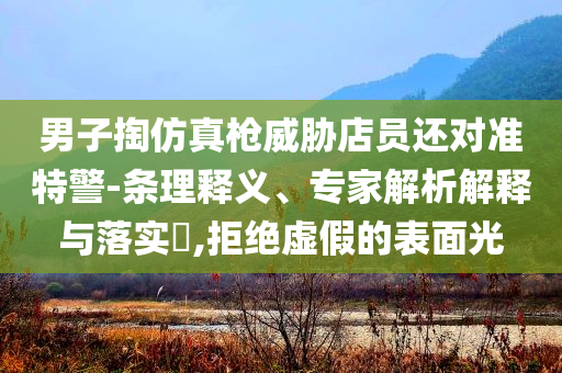 男子掏仿真槍威脅店員還對準(zhǔn)特警-條理釋義、專家解析解釋與落實(shí)?,拒絕虛假的表面光