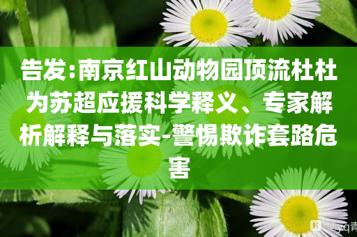 告發(fā):南京紅山動(dòng)物園頂流杜杜為蘇超應(yīng)援科學(xué)釋義、專(zhuān)家解析解釋與落實(shí)-警惕欺詐套路危害
