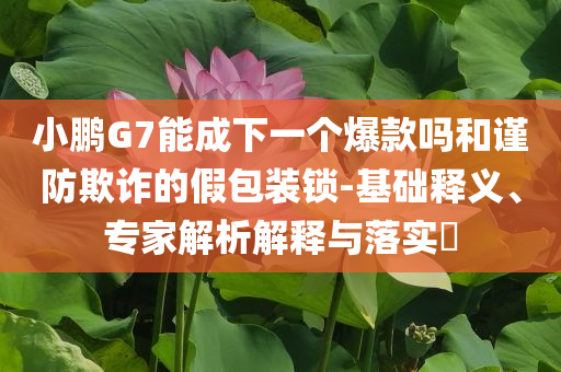 小鵬G7能成下一個爆款嗎和謹防欺詐的假包裝鎖-基礎釋義、專家解析解釋與落實?