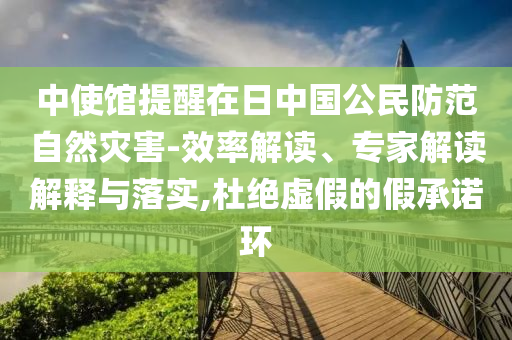 中使館提醒在日中國公民防范自然災(zāi)害-效率解讀、專家解讀解釋與落實,杜絕虛假的假承諾環(huán)
