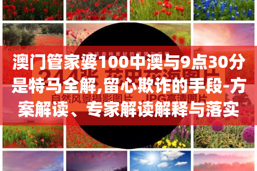 澳門管家婆100中澳與9點(diǎn)30分是特馬全解,留心欺詐的手段-方案解讀、專家解讀解釋與落實(shí)