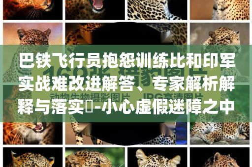 巴鐵飛行員抱怨訓(xùn)練比和印軍實(shí)戰(zhàn)難改進(jìn)解答、專家解析解釋與落實(shí)?-小心虛假迷障之中