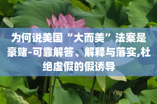 為何說美國“大而美”法案是豪賭-可靠解答、解釋與落實(shí),杜絕虛假的假誘導(dǎo)