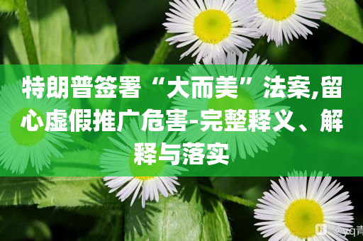 特朗普簽署“大而美”法案,留心虛假推廣危害-完整釋義、解釋與落實