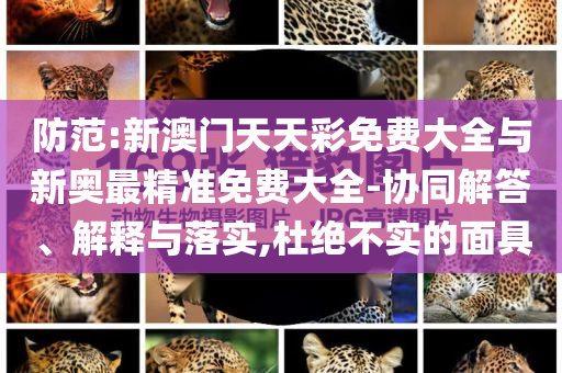 防范:新澳門天天彩免費大全與新奧最精準免費大全-協(xié)同解答、解釋與落實,杜絕不實的面具