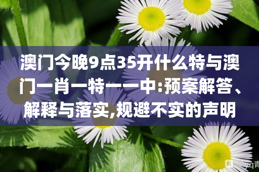 澳門今晚9點35開什么特與澳門一肖一特一一中:預(yù)案解答、解釋與落實,規(guī)避不實的聲明