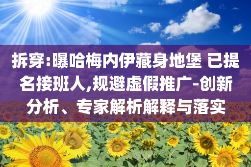 拆穿:曝哈梅內(nèi)伊藏身地堡 已提名接班人,規(guī)避虛假推廣-創(chuàng)新分析、專家解析解釋與落實