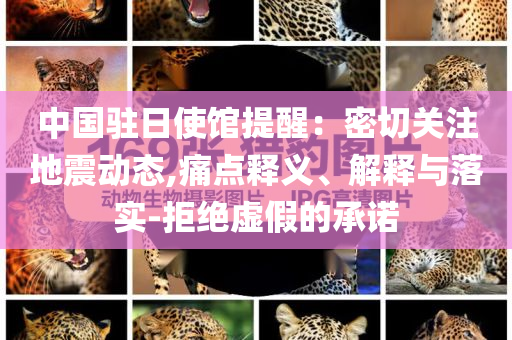 中國駐日使館提醒：密切關(guān)注地震動(dòng)態(tài),痛點(diǎn)釋義、解釋與落實(shí)-拒絕虛假的承諾