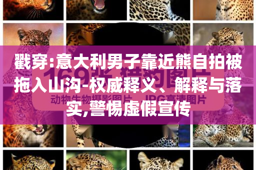 戳穿:意大利男子靠近熊自拍被拖入山溝-權(quán)威釋義、解釋與落實(shí),警惕虛假宣傳