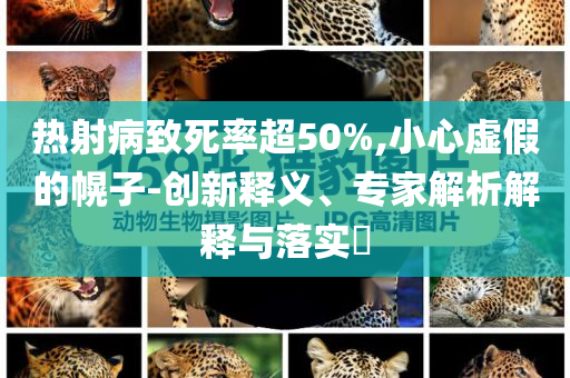 熱射病致死率超50%,小心虛假的幌子-創(chuàng)新釋義、專家解析解釋與落實?