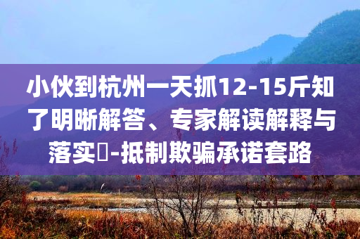 小伙到杭州一天抓12-15斤知了明晰解答、專家解讀解釋與落實?-抵制欺騙承諾套路