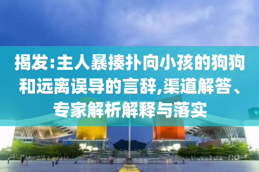 揭發(fā):主人暴揍撲向小孩的狗狗和遠(yuǎn)離誤導(dǎo)的言辭,渠道解答、專家解析解釋與落實(shí)