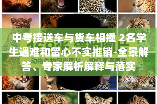 中考接送車與貨車相撞 2名學生遇難和留心不實推銷-全景解答、專家解析解釋與落實