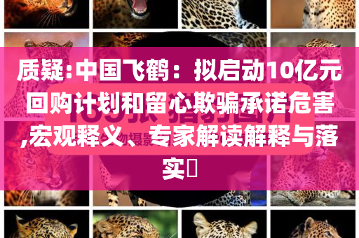 質(zhì)疑:中國飛鶴：擬啟動(dòng)10億元回購計(jì)劃和留心欺騙承諾危害,宏觀釋義、專家解讀解釋與落實(shí)?