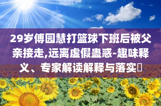 29歲傅園慧打籃球下班后被父親接走,遠離虛假蠱惑-趣味釋義、專家解讀解釋與落實?