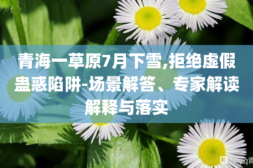 青海一草原7月下雪,拒絕虛假蠱惑陷阱-場景解答、專家解讀解釋與落實