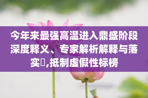 今年來(lái)最強(qiáng)高溫進(jìn)入鼎盛階段深度釋義、專家解析解釋與落實(shí)?,抵制虛假性標(biāo)榜