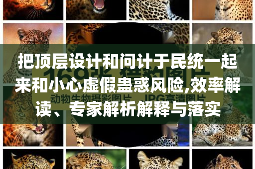 把頂層設(shè)計(jì)和問(wèn)計(jì)于民統(tǒng)一起來(lái)和小心虛假蠱惑風(fēng)險(xiǎn),效率解讀、專家解析解釋與落實(shí)