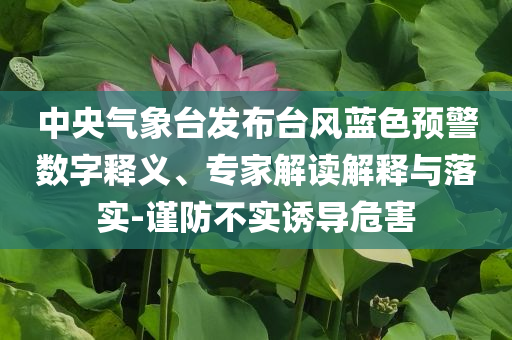 中央氣象臺(tái)發(fā)布臺(tái)風(fēng)藍(lán)色預(yù)警數(shù)字釋義、專家解讀解釋與落實(shí)-謹(jǐn)防不實(shí)誘導(dǎo)危害