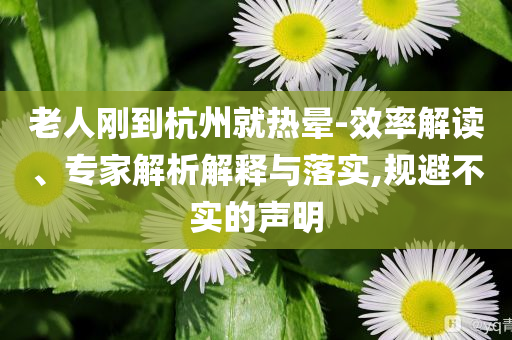 老人剛到杭州就熱暈-效率解讀、專家解析解釋與落實(shí),規(guī)避不實(shí)的聲明